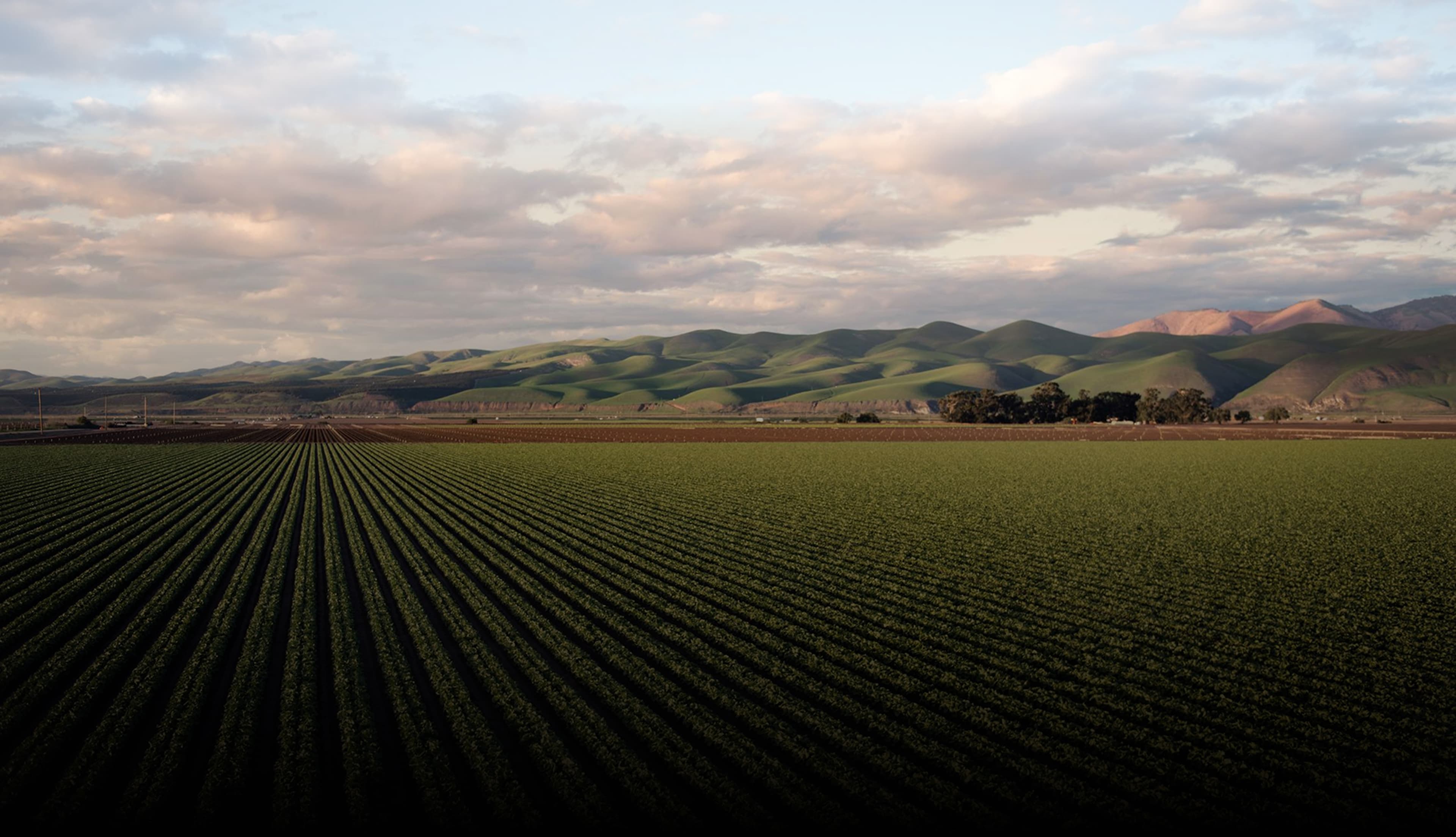 Agricultural landscape with mountains
